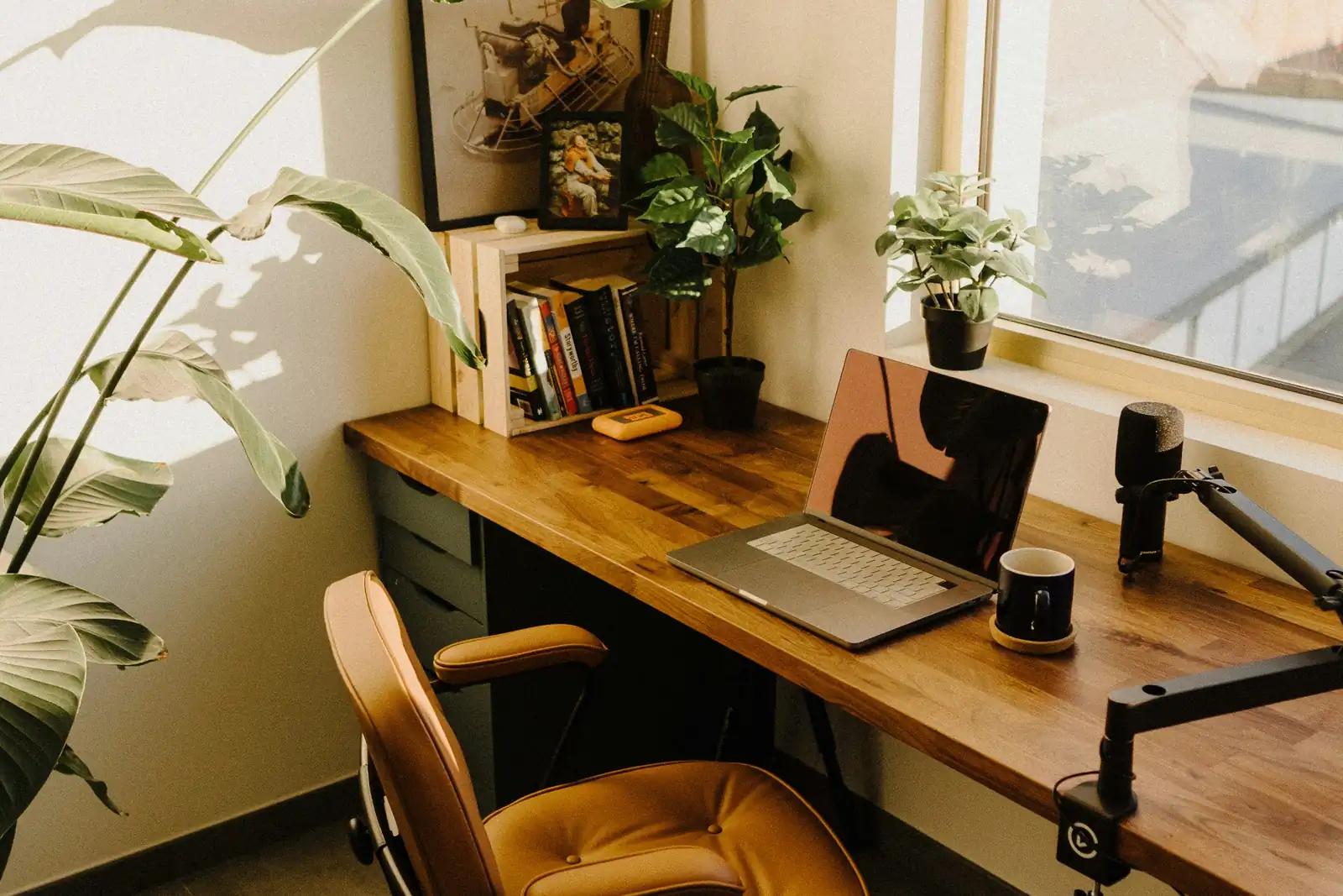 A desk with a laptop and a potted plant