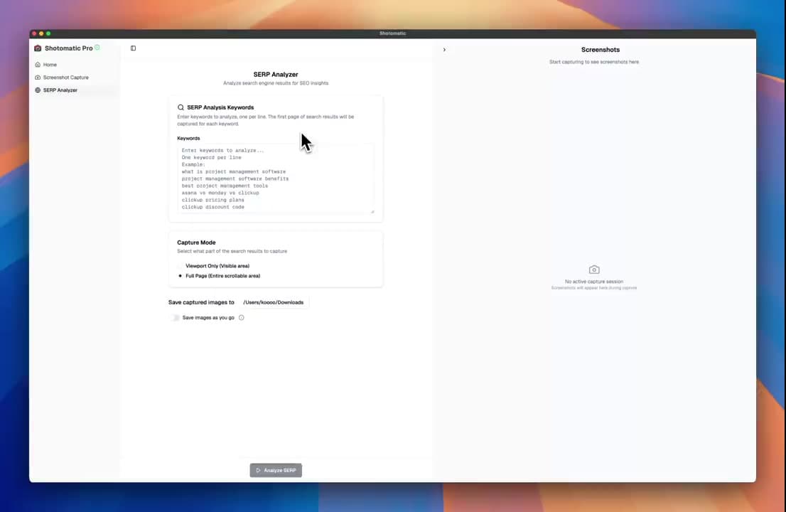 SERP Analyzer: Capture Google Search Results demo